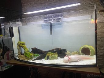 Akvarium - 3