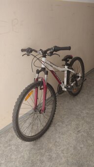Dievčensky bicykel 26 - 3