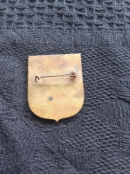 smaltovany odznak- dietna asistentka - 3