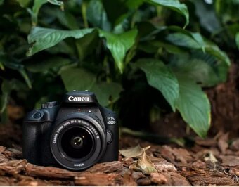 CanonEOS 4000D - 3