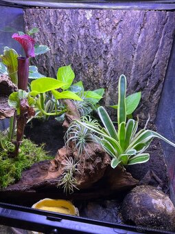 ExoTerra terarium 45x45x45cm - 3