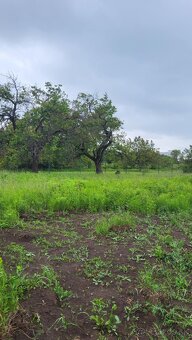 Na predaj investičný pozemok Štúrovo - 3