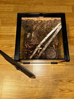 Zariadené terárium - 3