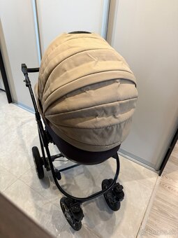 Predam kocik Camarelo - 3