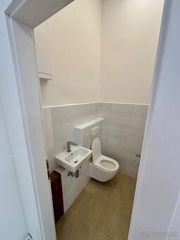 Obchodný priestor_pešia zóna Piešťany - 3