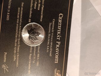 Investična platina a striebro wienerphilharmony - 3