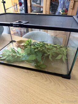 Terárium + príslušenstvo - 3