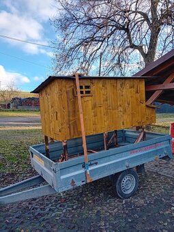 Predám Kurin /slepačinec - 3
