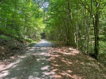Pozemok na samote v obci Horné Hámre (Žarnovica) - 3