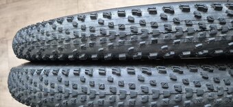 RECON RACE 29x2,4 WT EXO TR - 3