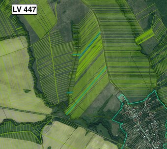 Slanské Nové Mesto – Podiely na ornej pôde - 3
