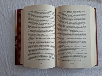 Mosty do Tel Avivu - Jiří Šulc - 3