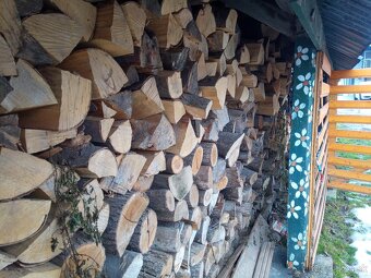 Palivové drevo - 3
