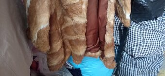 Predam krasny líščí kožuch - 3