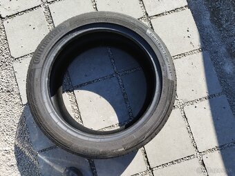 Guma letná - 3