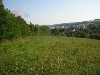 Rekreačný pozemok 5000 m2 Stará Turá - 3
