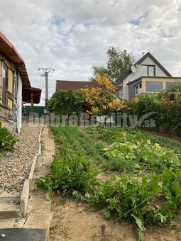 Záhrada + vinica + chatka na predaj - 3