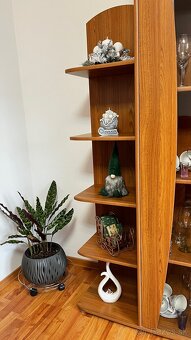 Obývačková stena - 3