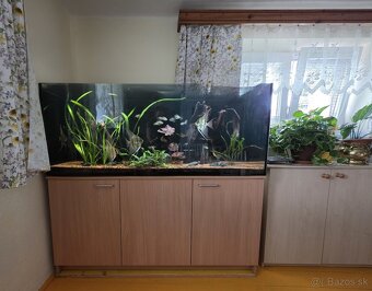 Akvárium 450L Diversa + skrinka + filter + JBL UV lampa + - 3