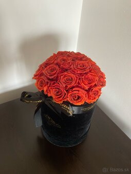 Trvácne ruže v boxe 23ks - červená - 3