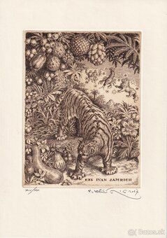 predam grafiky od Peter Klucik - 3