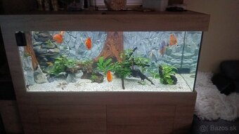 Predám komplet akvárium 540l 150x60x60 - 3