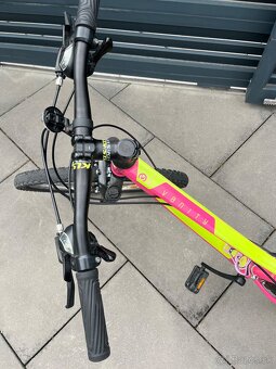 Ruzovy bicykel - 3