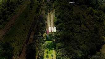 Vinica na skok od Nitry + chata - 590 m2 - 3