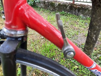 Favorit  F1 special, Campagnolo - 3