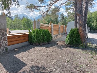 Tuja Smaragd, vavrínovec, červienka, gaštan - Tvrdošín - 3
