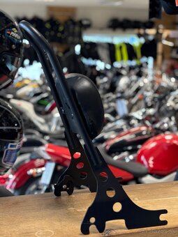 Opierka Harley DAVIDSON - 3