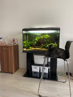 Rezervované: Akvarium 120l - 3