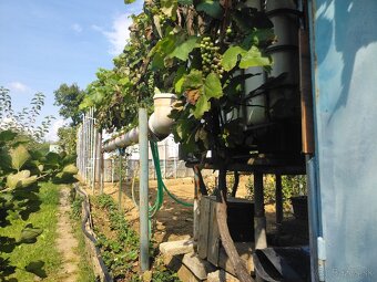 Záhrada s chatou Prievidza - 3