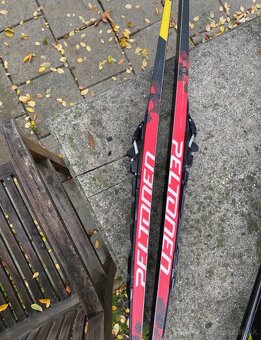 Detské bežky Davorin - 3