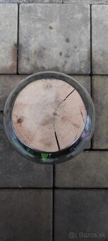 Rastlinné terárium (florárium) - 3