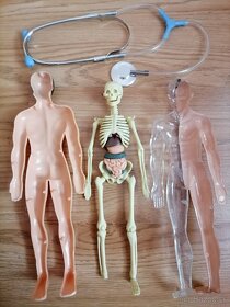 Ľudské telo s fonendoskopom - 3