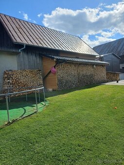 Štiepané palivové drevo breza - 3