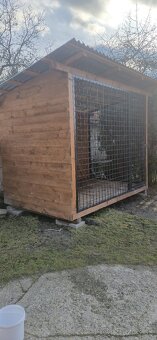 Voliera pre psa - 3