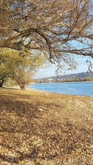 Na predaj pozemok na výstavbu RD Štúrovo - 3