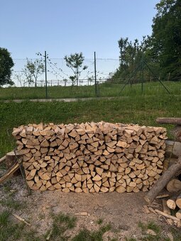 Palivové drevo jaseň - 3