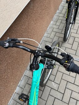 Alpina pro mužský + ženský horský bicykel, ram L a S - 3
