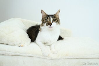 MONTY hľadá domov - 3