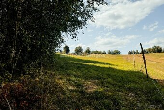 PREDAJ: Pozemok s výhľadmi, 4607 m2, Detvianska Huta - Vrchd - 3