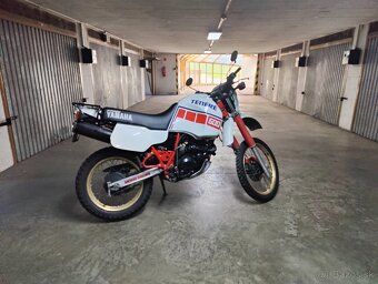 Yamaha XT600 Tenere 1986 1vj - 3