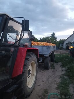 Tekvicové jadierka - 3