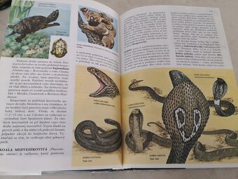 Svet živočíšnej ríše - 3