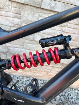 Predam YT capra 2023 - 3