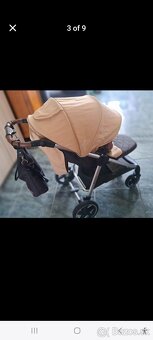 Sportovy kociar Petit&Mars Royal Heritage - 3
