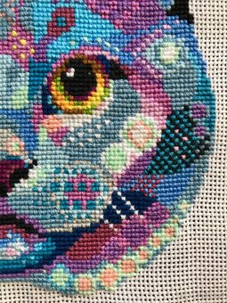 Vyšívaný obraz Britska mačka - 3