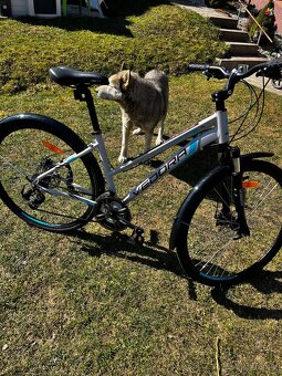 Dámsky bicykel - 3